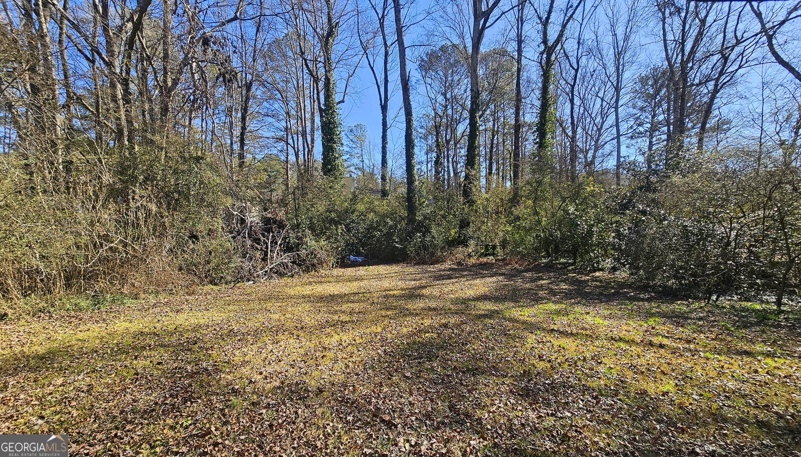 6665 Cedar Hurst Trail College Park - 2