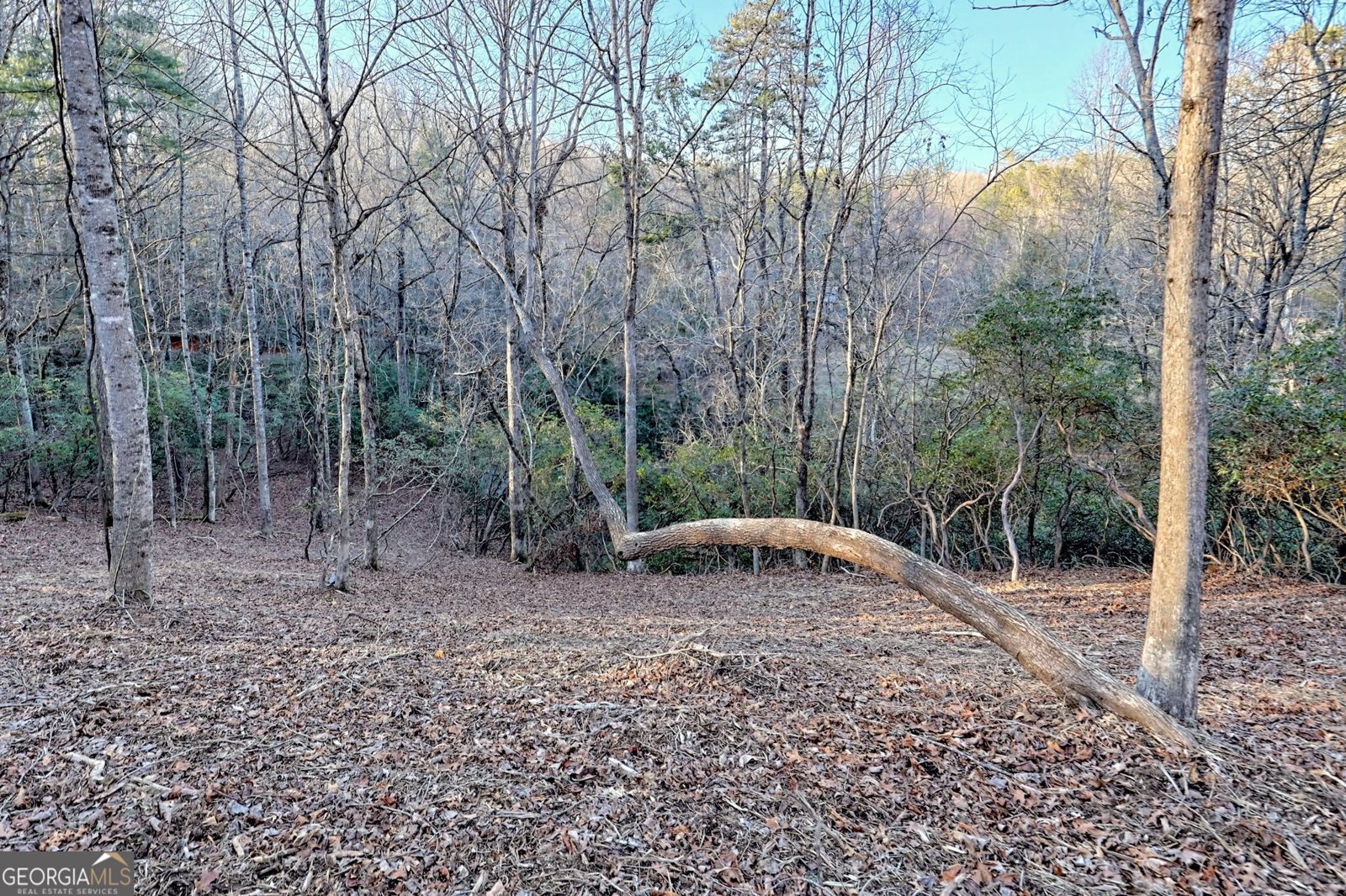150 Blue Jay Road Clarkesville - 70