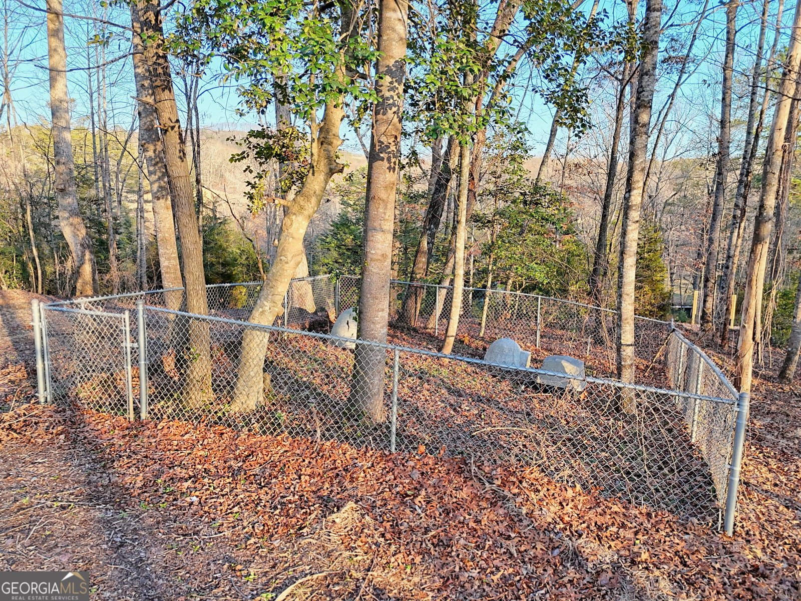 150 Blue Jay Road Clarkesville - 93