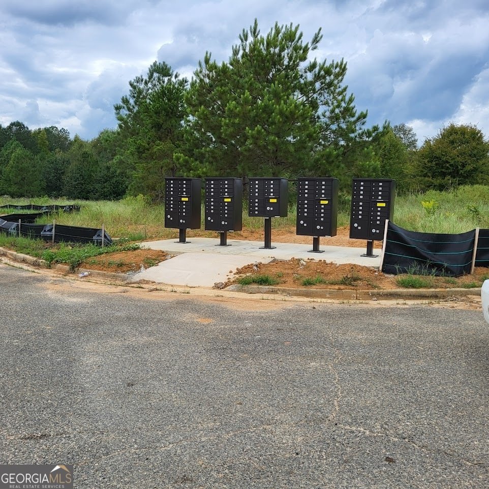 802 Castle Couirt Hawkinsville - 24