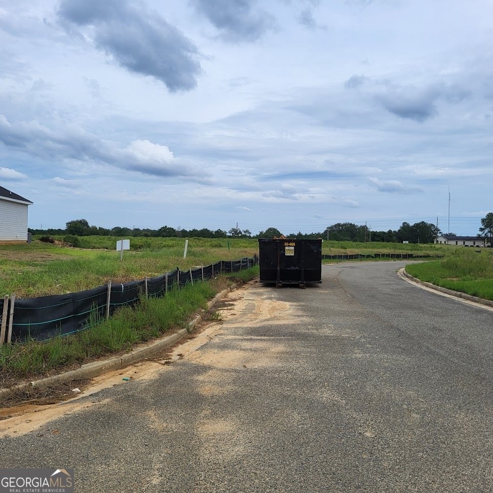 802 Castle Couirt Hawkinsville - 26