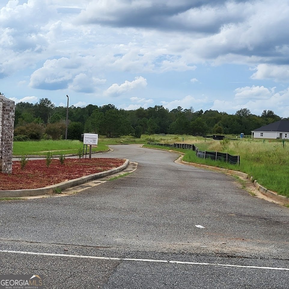 802 Castle Couirt Hawkinsville - 4