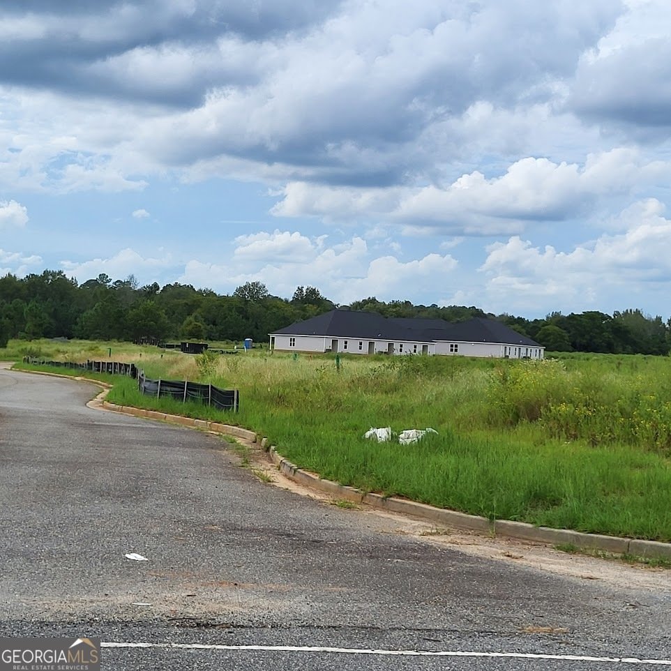 802 Castle Couirt Hawkinsville - 5