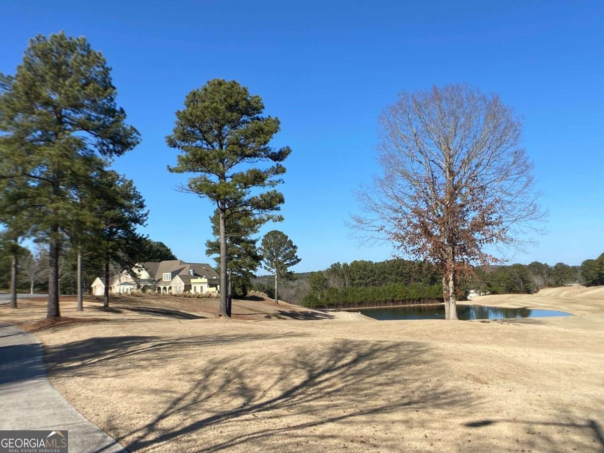 179 Waterstone Point Acworth - 21