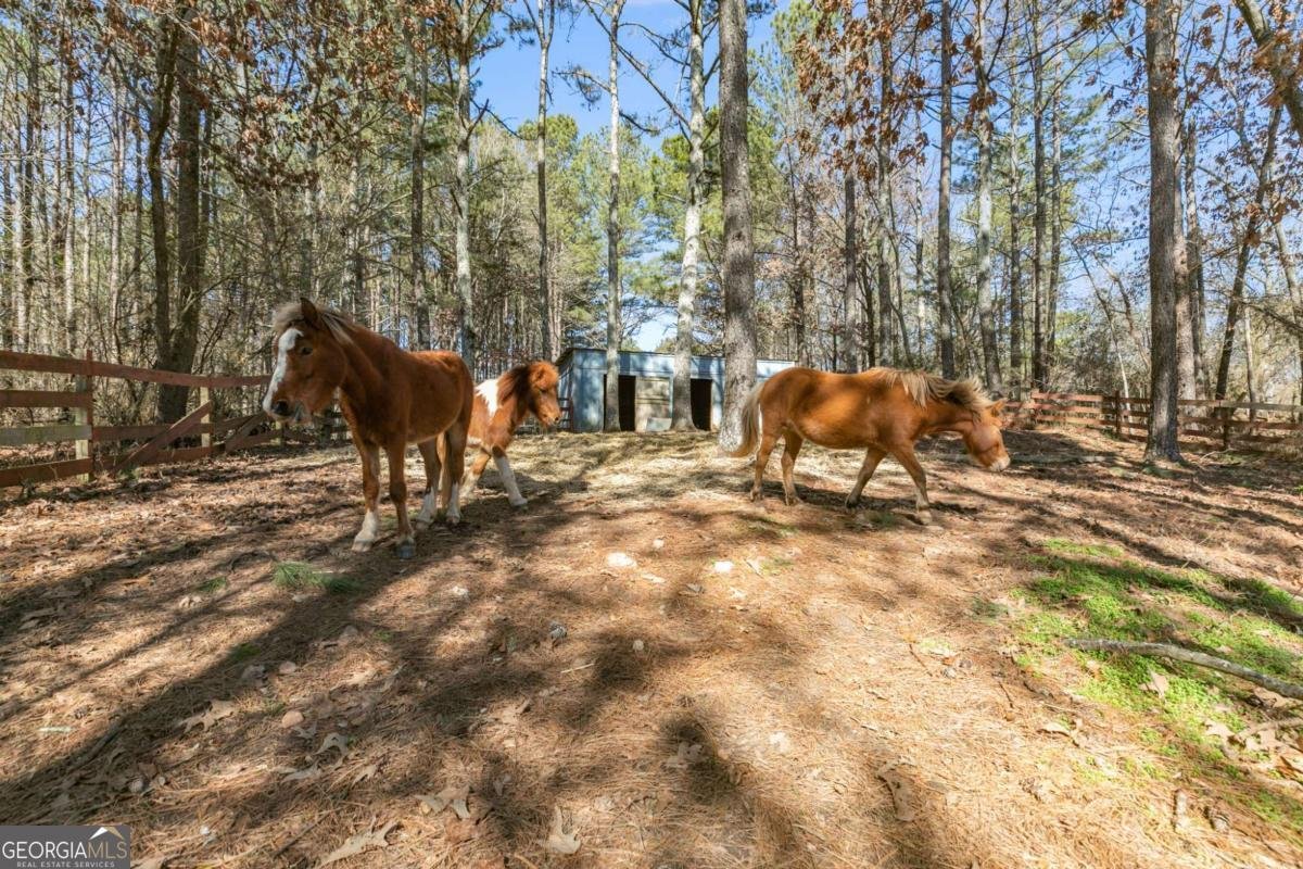 446 Mcgukin Road Bremen - 16