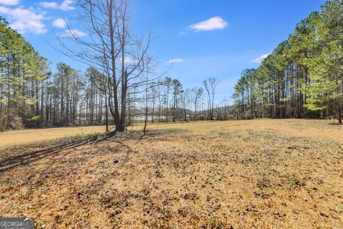 446 Mcgukin Road Bremen - 20