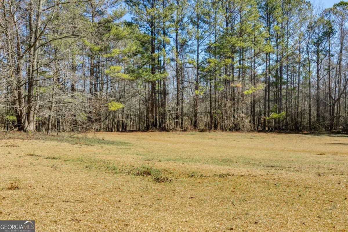 446 Mcgukin Road Bremen - 21