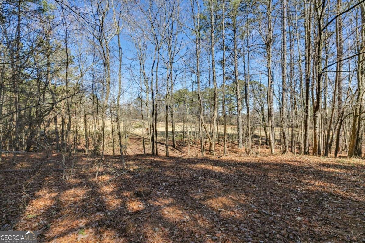 446 Mcgukin Road Bremen - 23