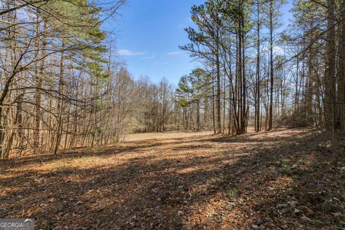 446 Mcgukin Road Bremen - 24
