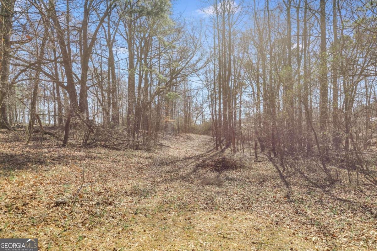 446 Mcgukin Road Bremen - 28