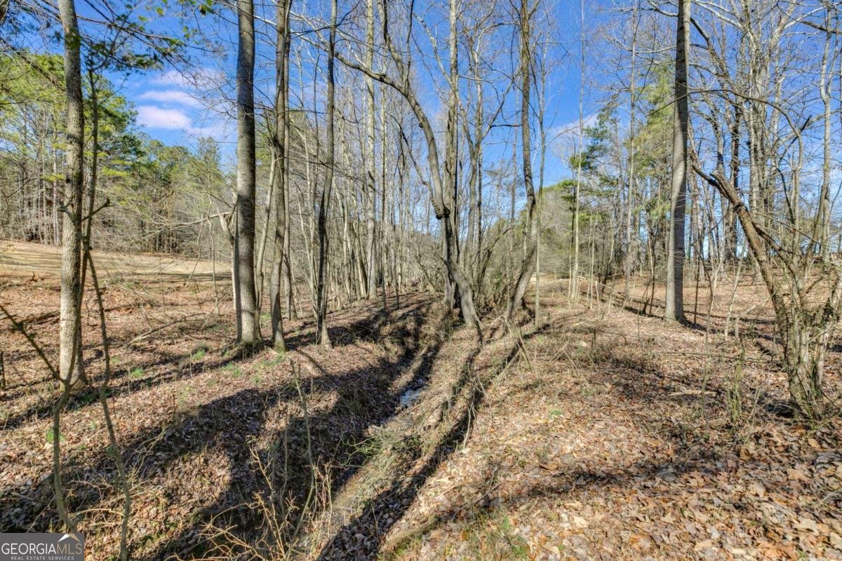 446 Mcgukin Road Bremen - 29