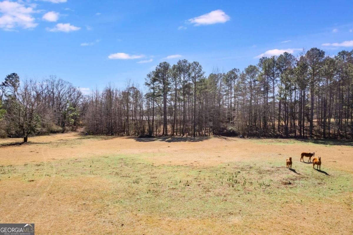 446 Mcgukin Road Bremen - 44