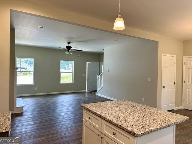 267 Adams Place Drive Royston - 10
