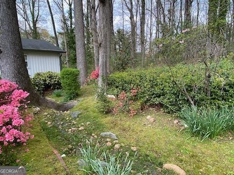 75 Azalea Trail Carrollton - 33