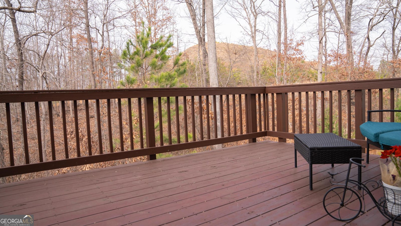 1320 Newbridge Circle Buford - 62