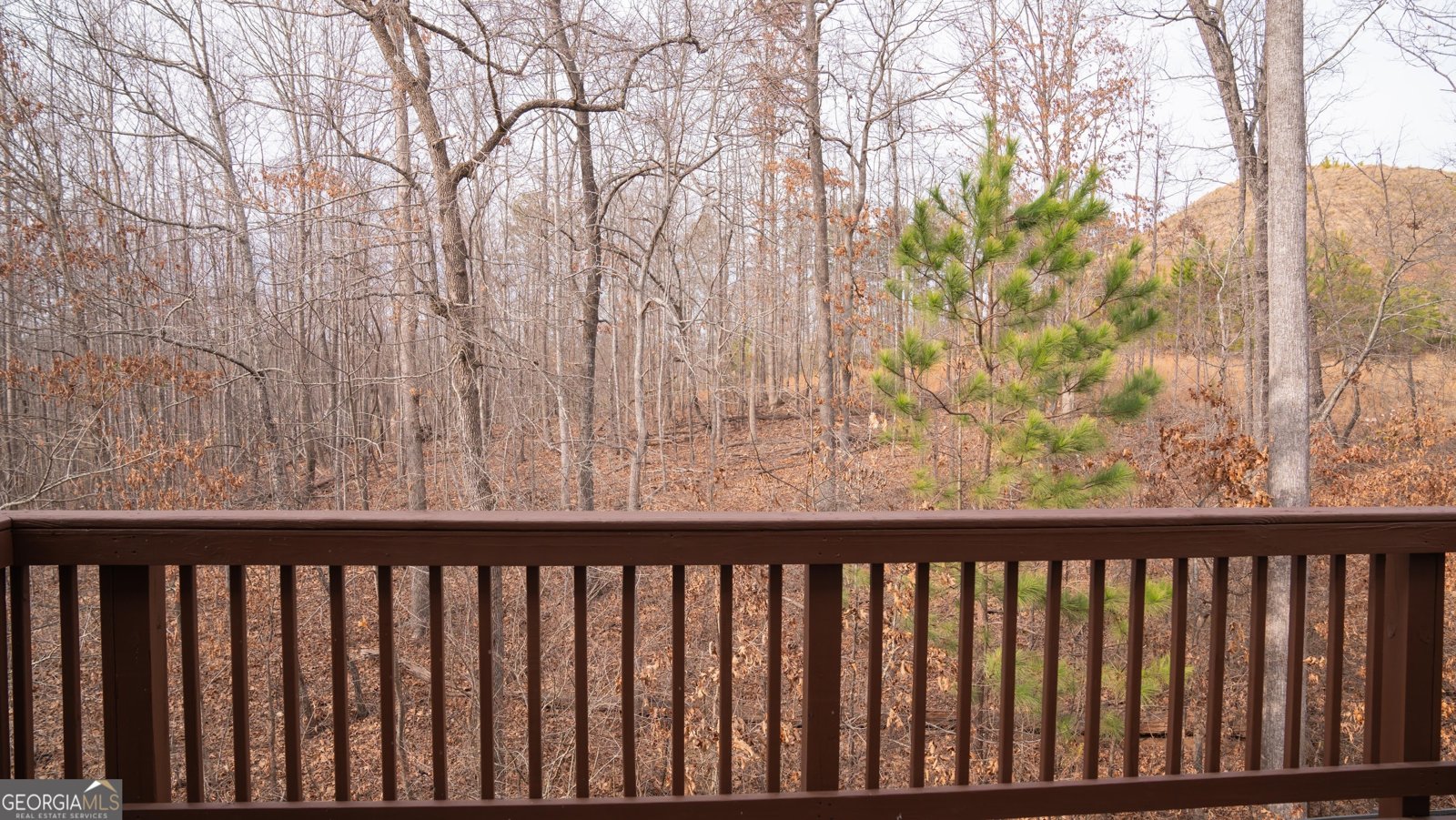 1320 Newbridge Circle Buford - 64