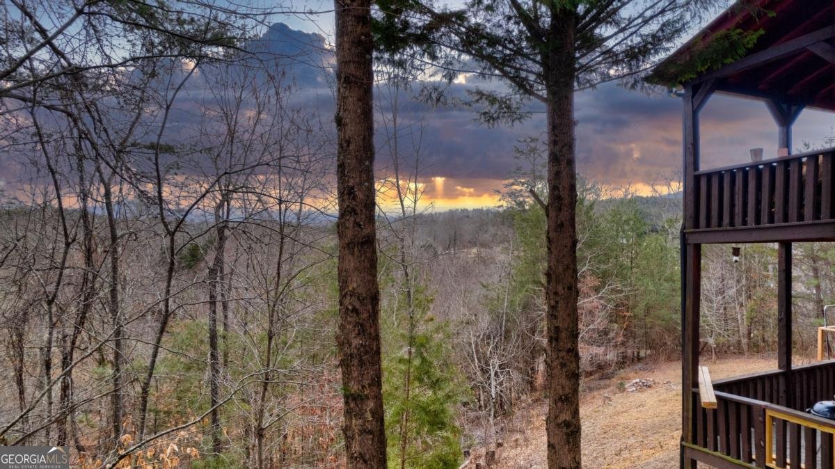 2567 Todd Shook Road Young Harris - 53