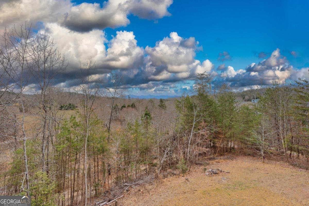 2567 Todd Shook Road Young Harris - 59