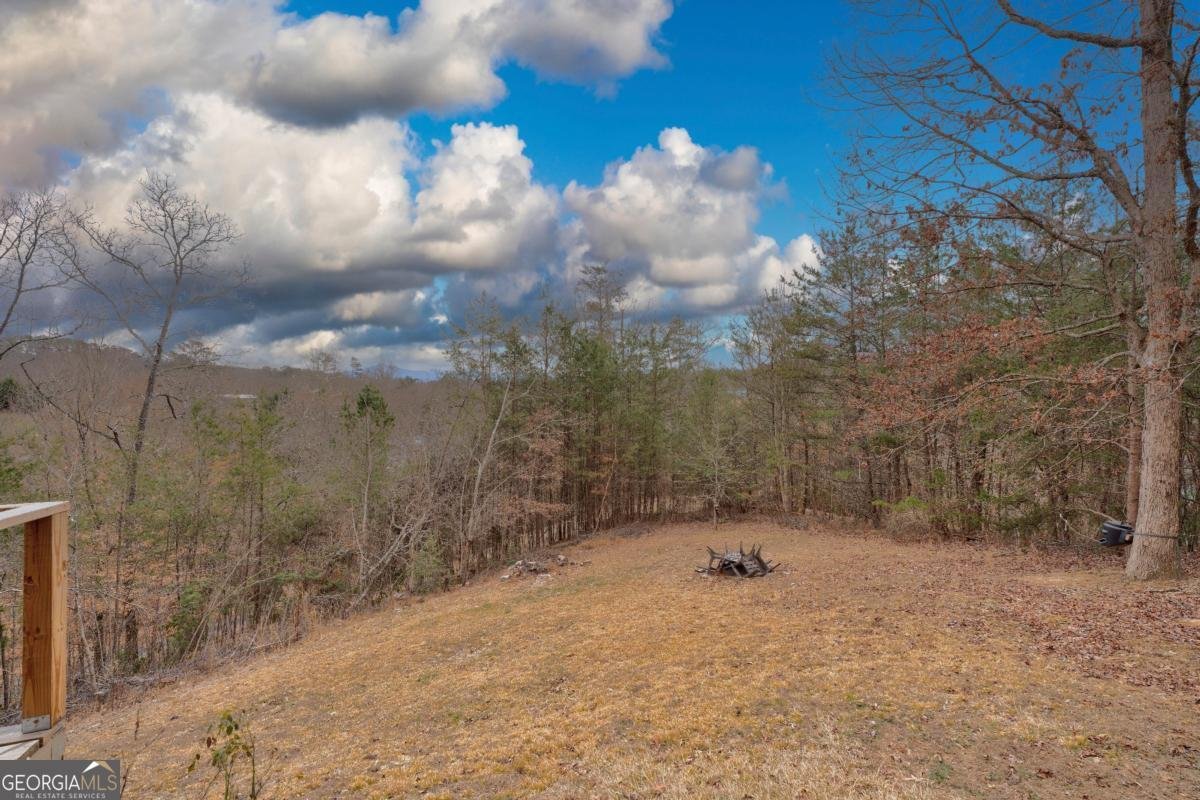 2567 Todd Shook Road Young Harris - 60