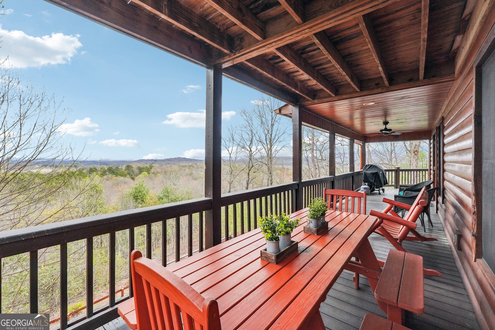 620 Price Road Blue Ridge - 60