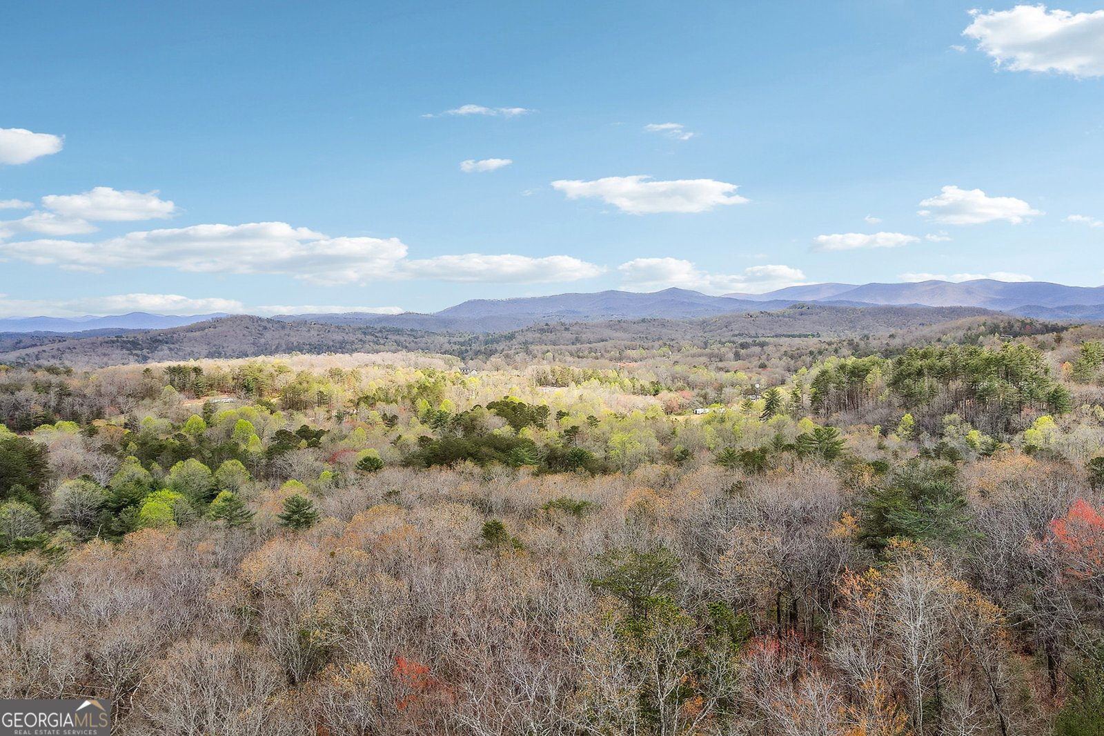 620 Price Road Blue Ridge - 74