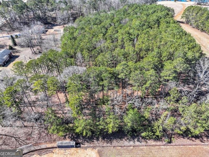 1891 HIGHWAY 81 McDonough - 21