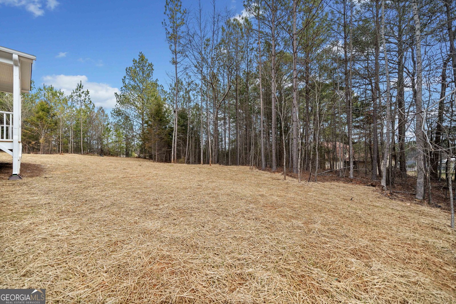 46 Wendover Drive Cartersville - 21
