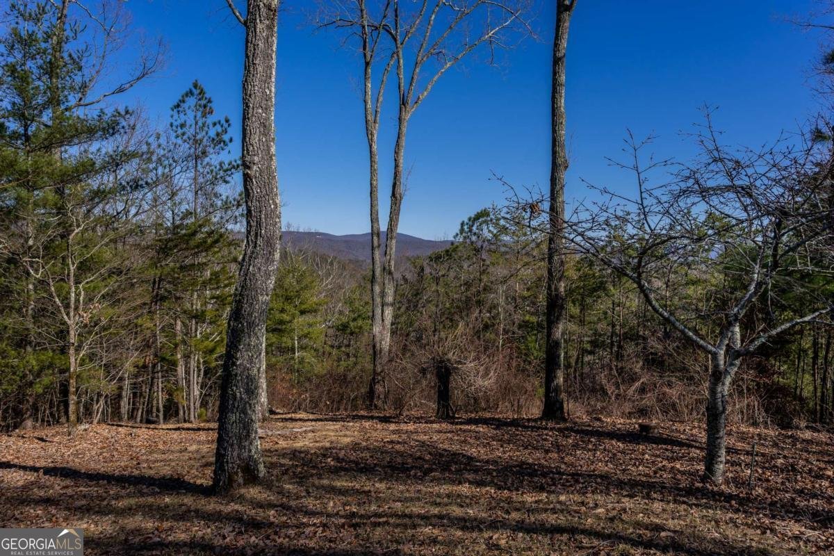 934 Greystone Road Talking Rock - 2