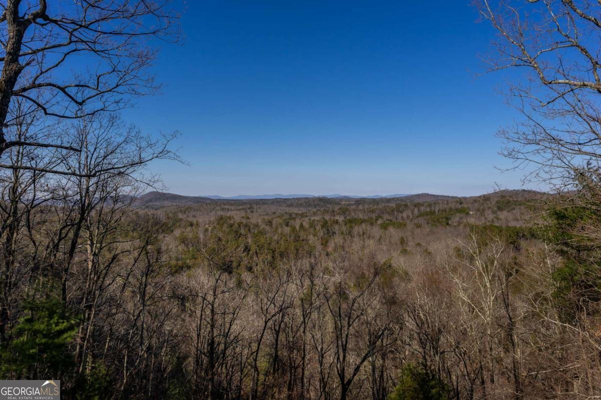 934 Greystone Road Talking Rock - 40