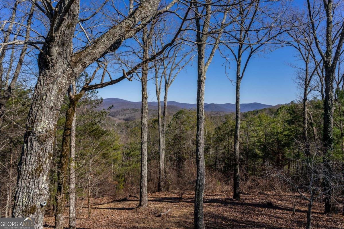 934 Greystone Road Talking Rock - 43