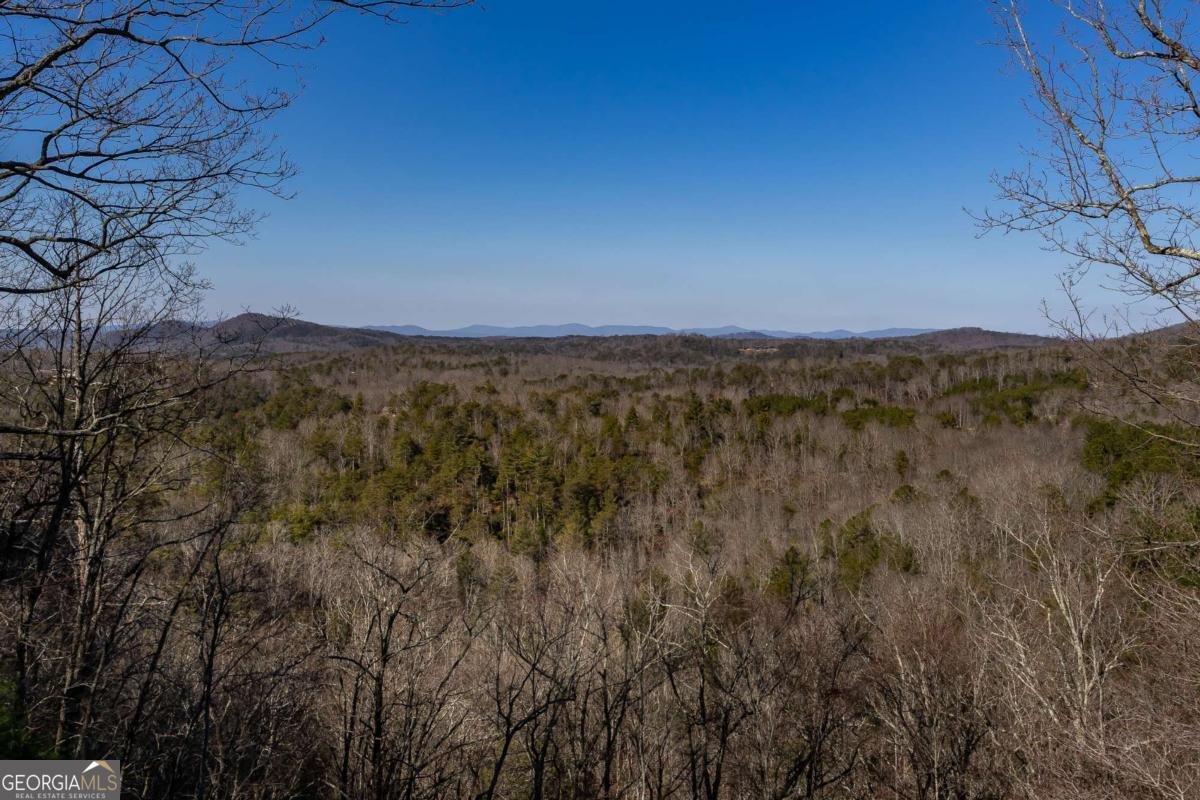 934 Greystone Road Talking Rock - 46