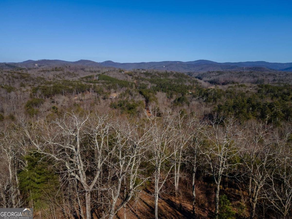 934 Greystone Road Talking Rock - 9