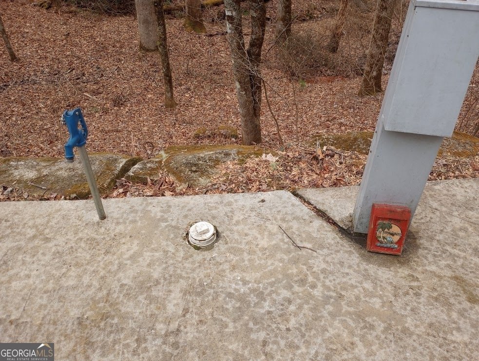 71 Peek & Peak Lane Scaly Mtn - 50