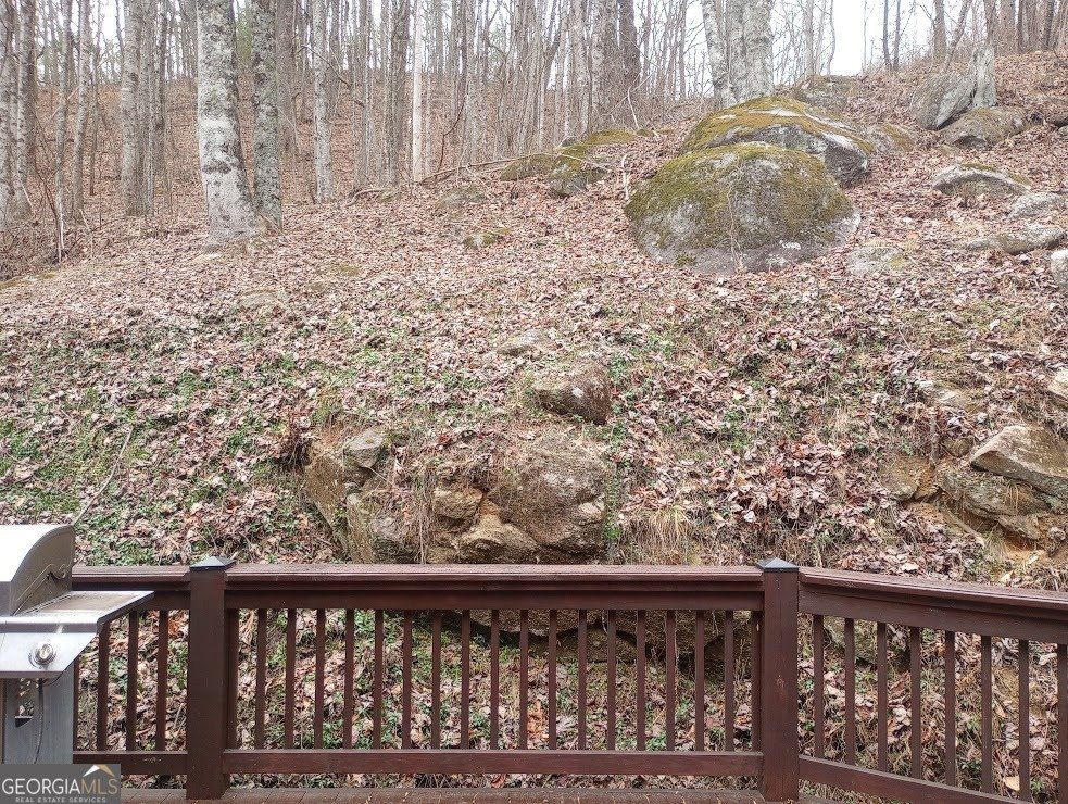71 Peek & Peak Lane Scaly Mtn - 52
