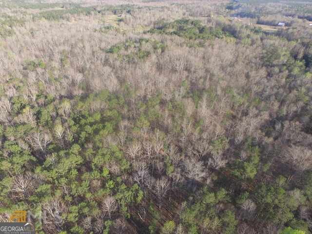 928 Hwy 19 Meansville - 132