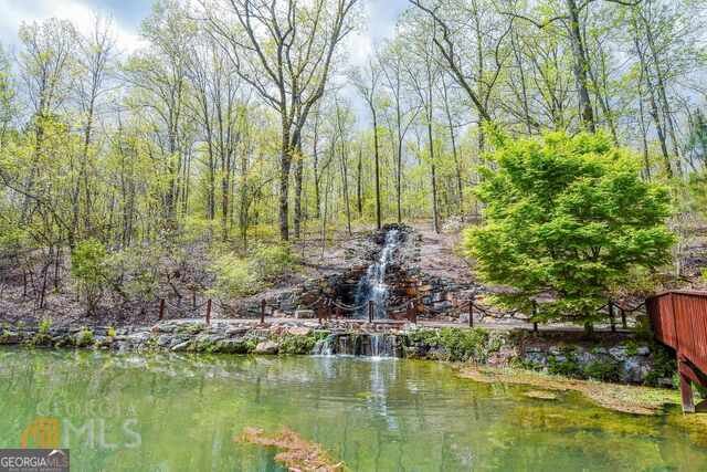 928 Hwy 19 Meansville - 36
