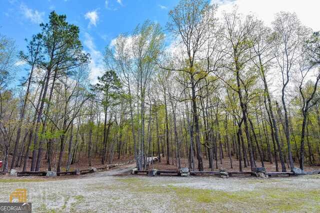 928 Hwy 19 Meansville - 8