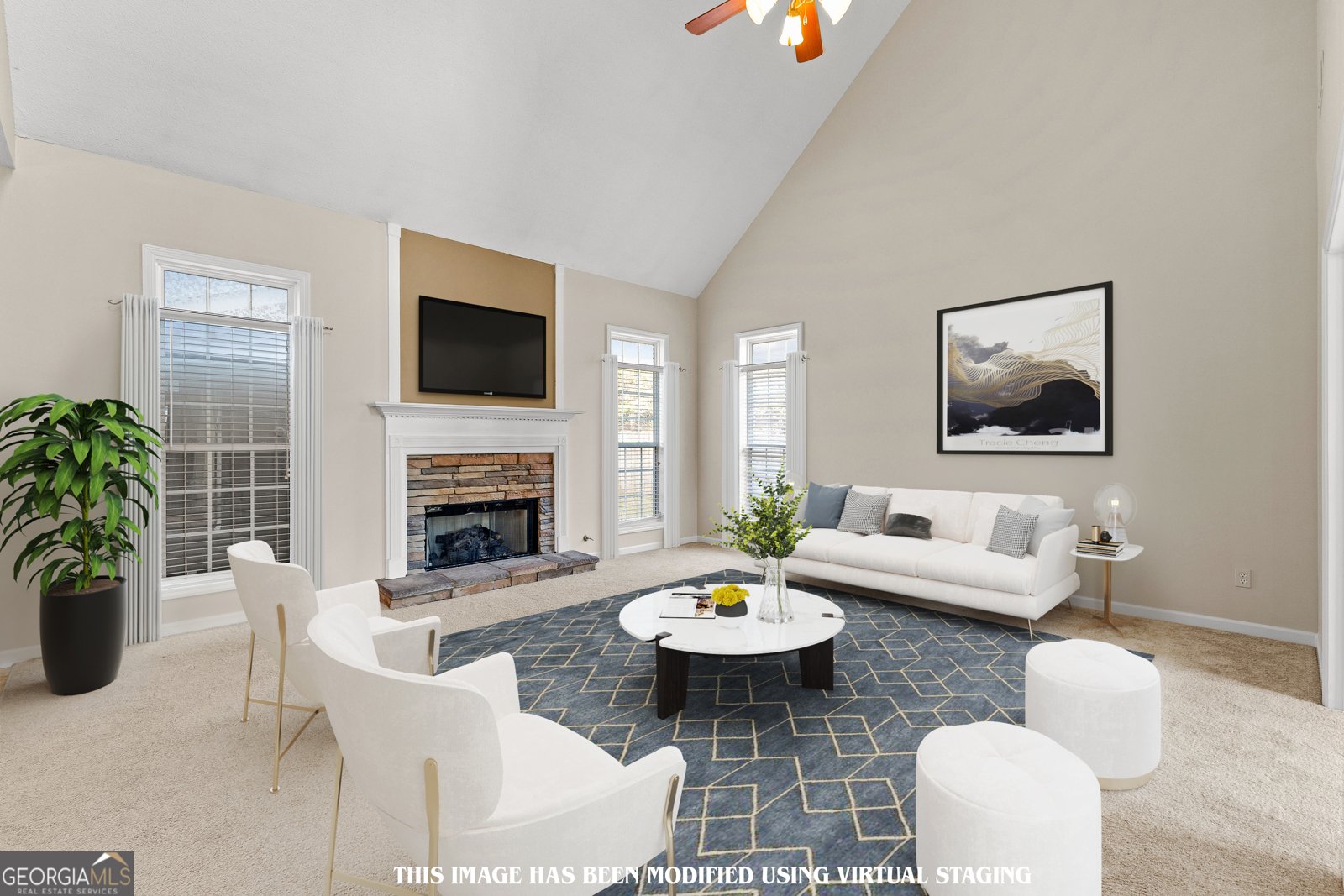 228 Otter Circle Fayetteville - 4