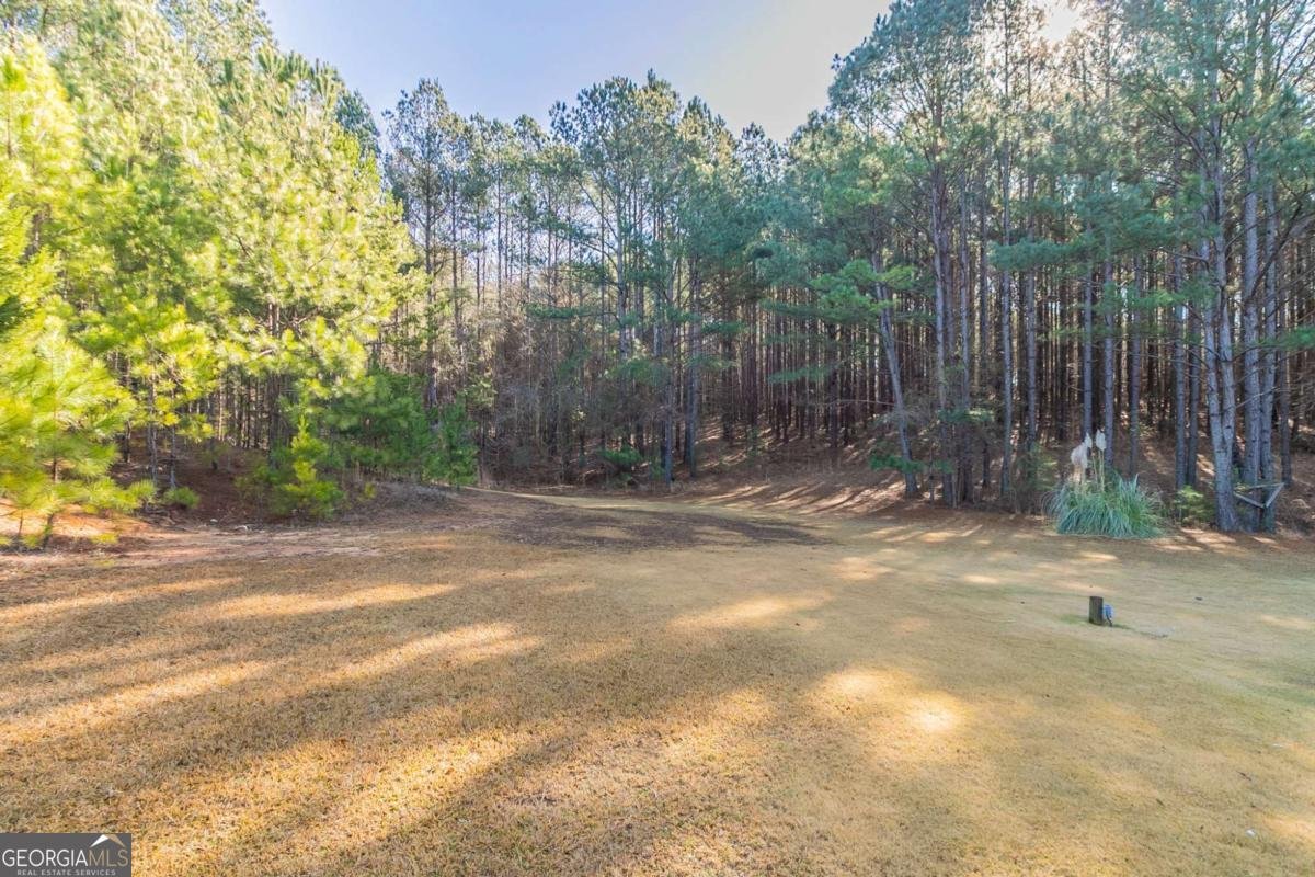 90 Harris Estates Drive Newnan - 37