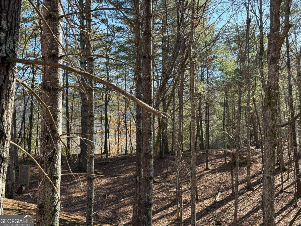 1117 Poor House Mountain Trail Murphy - 30