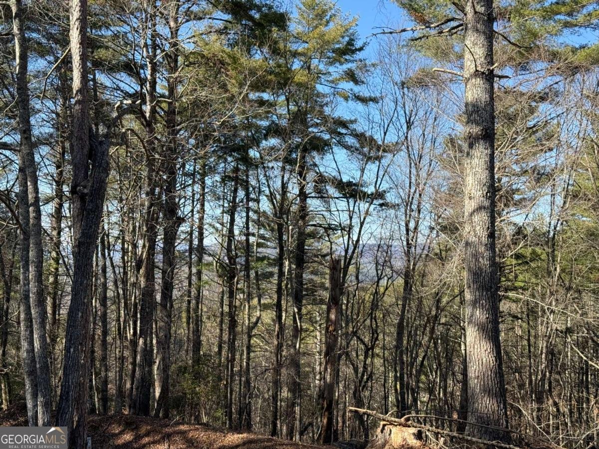 1117 Poor House Mountain Trail Murphy - 32