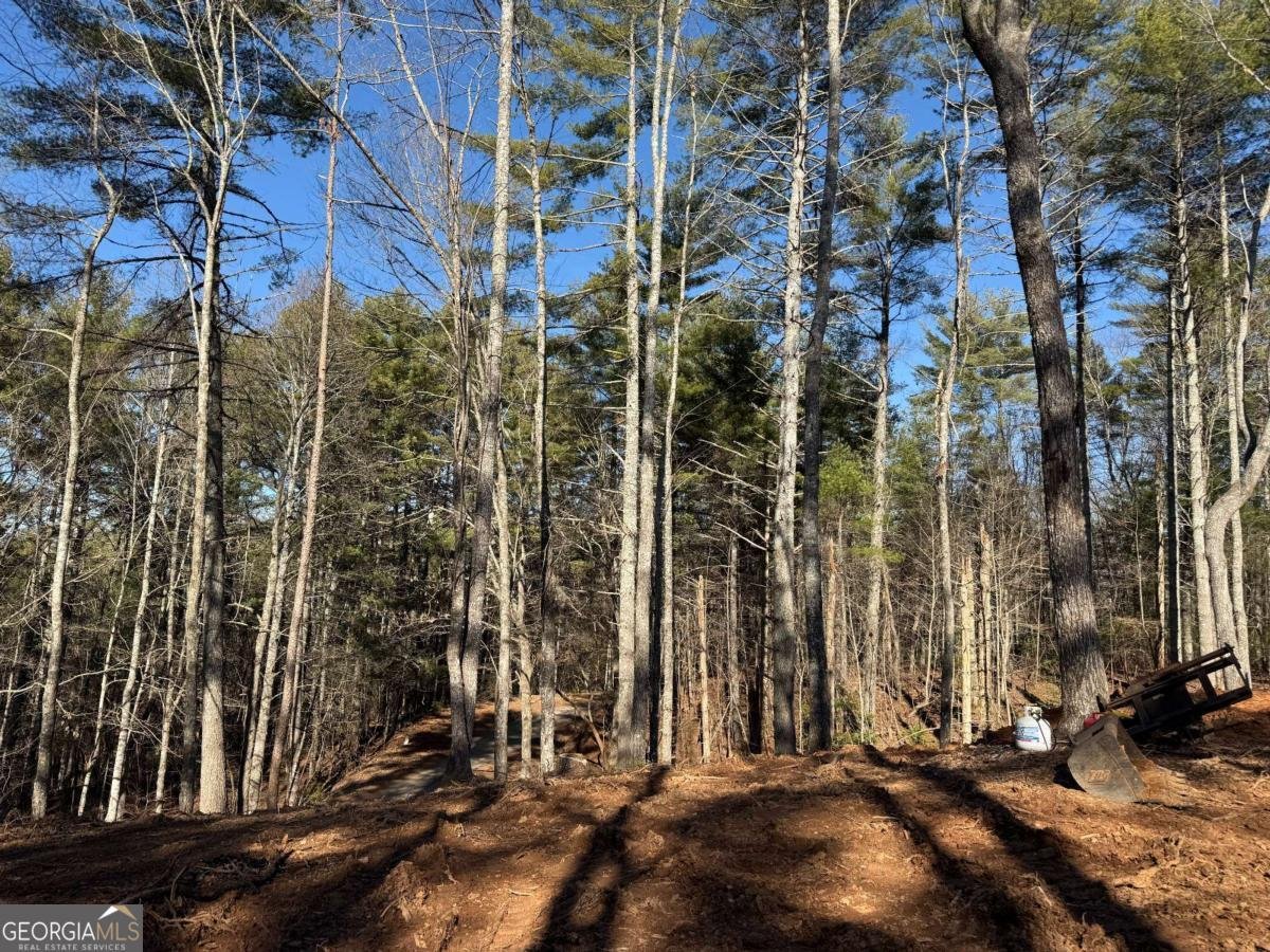 1117 Poor House Mountain Trail Murphy - 37