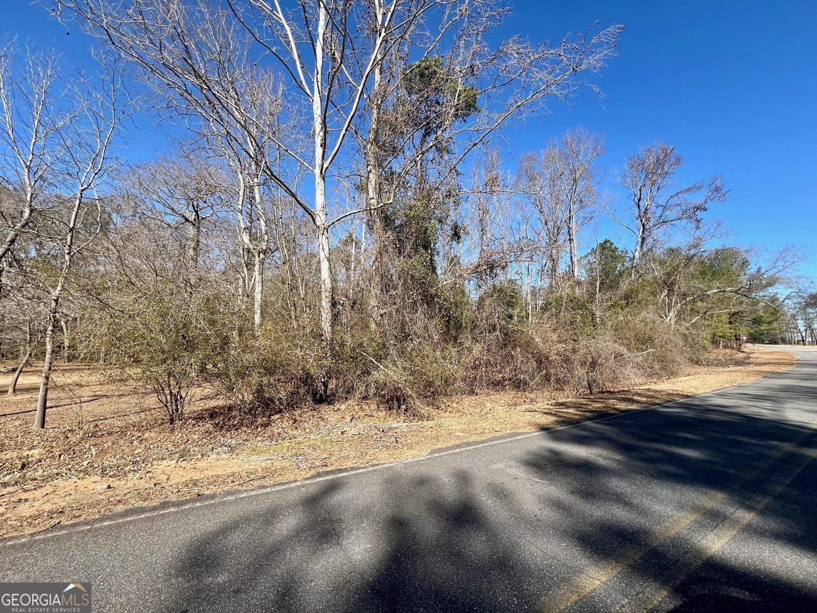 3450 Union Church Road Warthen - 29