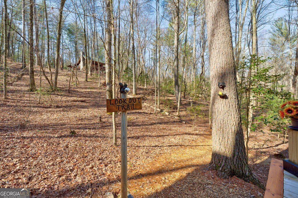 196 Mossy Rock Lane Ellijay - 64