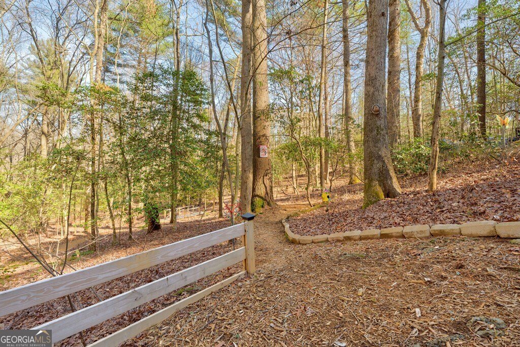 196 Mossy Rock Lane Ellijay - 65