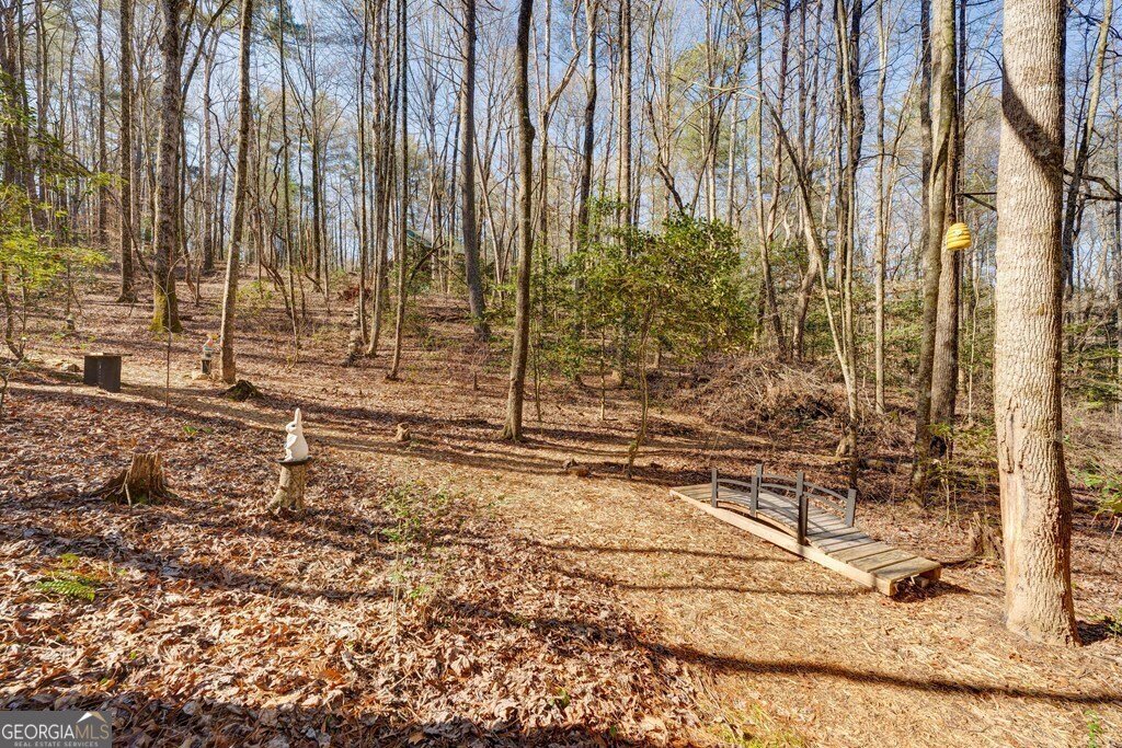 196 Mossy Rock Lane Ellijay - 66