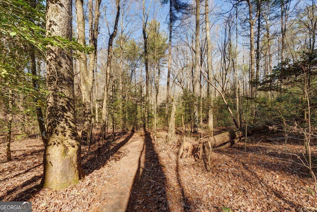 196 Mossy Rock Lane Ellijay - 67