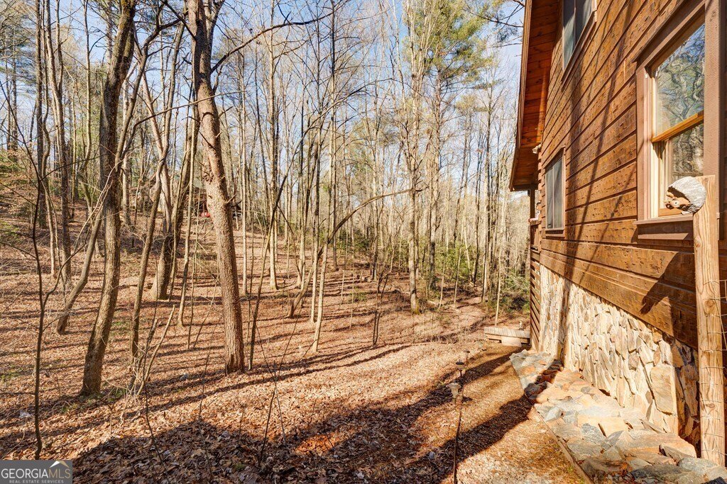 196 Mossy Rock Lane Ellijay - 80
