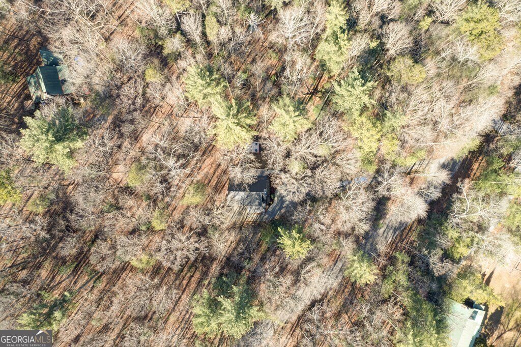196 Mossy Rock Lane Ellijay - 89