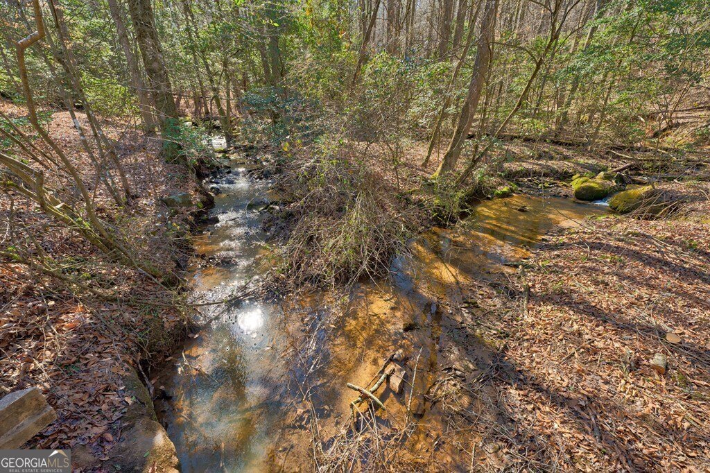 196 Mossy Rock Lane Ellijay - 91
